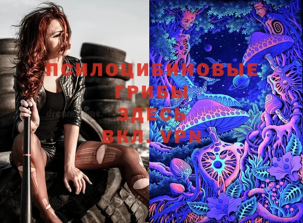 мяу мяу мука Покачи