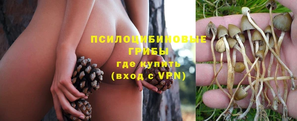 мяу мяу мука Покачи