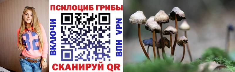 Галлюциногенные грибы Magic Shrooms  Купить закладки  Тогучин 